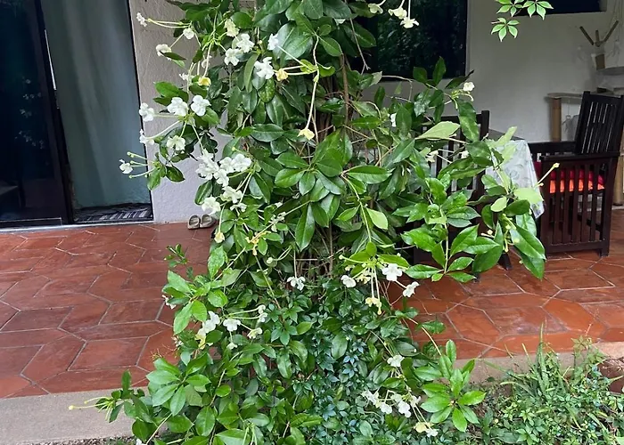 Apartment Charming Very Quiet Center Renewed Playa del Carmen